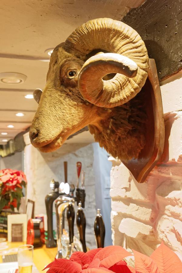 Rams Head Inn Dolton ภายนอก รูปภาพ